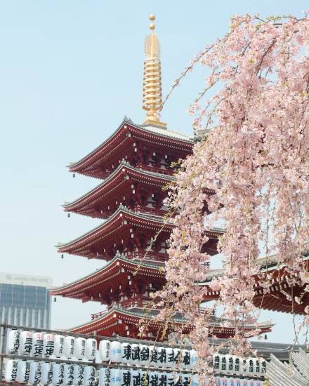 Japão